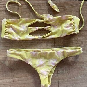 Benoa Honey Hibiscus